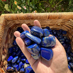 Lapis lazuli tumbles, High quality lapis lazuli tumbles.